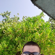  ,   , 42 ,   , 