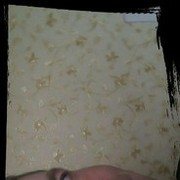  ,   Plexsus, 44 ,     , c 