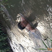  ,   , 35 ,   