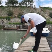 ���������� ������������, ���� ������� ����, 40 ���, ������������ ��� ������, ����� � ���������, c�������� ���������, ���������