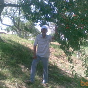  -,  bek, 50
