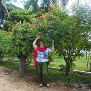  ,   Vera, 62 ,   