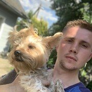 ���������� �����, ���� ������� �������, 33 ����, ������������ ��� ������, ����� � ���������