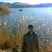  ,   Alisher, 41 ,   , 
