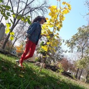  ,   , 50 ,   ,   , c 
