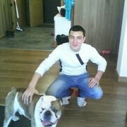 ���������� �������, ���� ������� ���  �������, 38 ���, ������������ ��� ����� � ���������, c�������� ���������