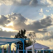 ���������� ������-��-����, ���� ������� �����, 34 ����, ������������ ��� ������, ����� � ���������