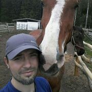 ���������� �����, ���� ������� �����, 43 ����, ������������ ��� ����� � ���������, c�������� ���������