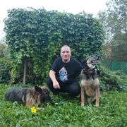 ���������� ������, ���� ������� �������, 39 ���, ������������ ��� c�������� ���������