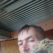  -,   , 48 ,   