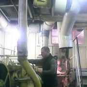 ���������� ������, ���� ������� �������, 33 ����, ������������ ��� ������