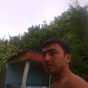 ���������� �������, ���� ������� SANJAR, 37 ���, ������������ ��� ������, ����� � ���������, c�������� ���������