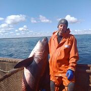 ���������� ����-���������, ���� ������� �������, 45 ���, ������������ ��� ������, ����� � ���������