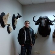 ���������� �����, ���� ������� ������, 37 ���, ������������ ��� ������, ����� � ���������, c�������� ���������, ���������