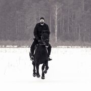 ���������� ������, ���� ������� ���, 36 ���, ������������ ��� ������, ����� � ���������, c�������� ���������, ���������