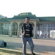  ,   Qalib, 44 ,     , c 