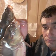 ���������� ���������, ���� ������� ������, 41 ���, ������������ ��� ������, ����� � ���������