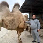  ,   , 30 ,   ,   , c 