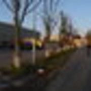 ���������� ����, ���� ������� ������, 40 ���, ������������ ��� ������, ����� � ���������, c�������� ���������