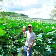 ���������� ���������, ���� ������� Roman, 33 ����, ������������ ��� ���������