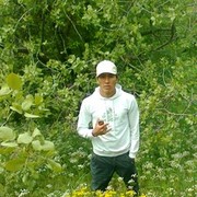  -,  adilet, 35
