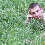 ���������� ���������, ������� Dimca, 36