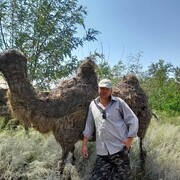  ,   , 44 ,   