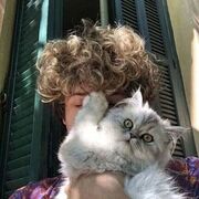 ���������� ����� �������, ������ �� �������, 20