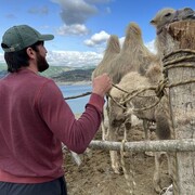 ���������� ���������, ���� ������� ��������, 35 ���, ������������ ��� ������, ����� � ���������