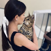 ���������� ������, ���� ������� ����, 33 ����, ������������ ��� ������, ����� � ���������