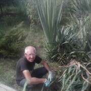 ���������� ���������, ���� ������� ����, 65 ���, ������������ 