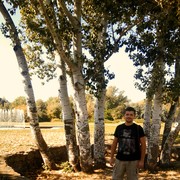  ,   Slavik, 40 ,   ,   , c 