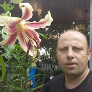  ,   , 43 ,   ,   