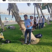 ���������� ������, ���� ������� ����, 36 ���, ������������ ��� ������, ����� � ���������, c�������� ���������