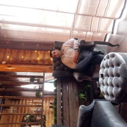 ���������� ���������, ���� ������� ������, 36 ���, ������������ ��� ������, ����� � ���������, c�������� ���������