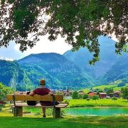 ���������� ����, ������� ������, 43