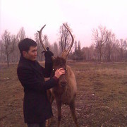  -,   Maksat, 34 ,     , c 