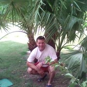 ���������� �������, ������� ����, 49