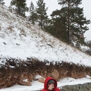 ���������� ����������, ���� ������� ���������, 42 ����, ������������ ��� ������, ����� � ���������, c�������� ���������