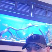 ���������� ���������, ���� ������� �������, 39 ���, ������������ ��� c�������� ���������