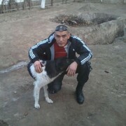  -,   , 39 ,   ,   , c , 