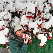 ���������� �������, ���� ������� �����, 53 ����, ������������ ��� ������, ����� � ���������, c�������� ���������