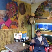  ,   , 38 ,   ,   , c 