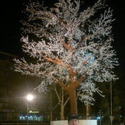 ���������� �������, ���� ������� �����, 34 ����, ������������ ��� ������, ����� � ���������, c�������� ���������, ���������