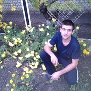   ,   , 41 ,   ,   , c , 