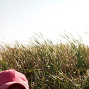 ���������� ������, ���� ������� ������, 45 ���, ������������ ��� ������, ����� � ���������, c�������� ���������