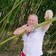 ���������� �������, ���� ������� ����, 44 ����, ������������ ��� ����� � ���������, c�������� ���������