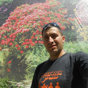  ,   , 40 ,  