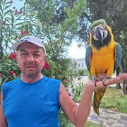 ���������� ������������, ���� ������� Sergey, 51 ���, ������������ ��� ����� � ���������, c�������� ���������