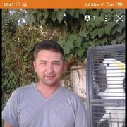  ,   SAID, 41 ,  